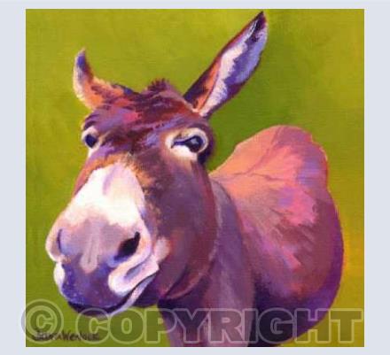 Dancer the Donkey