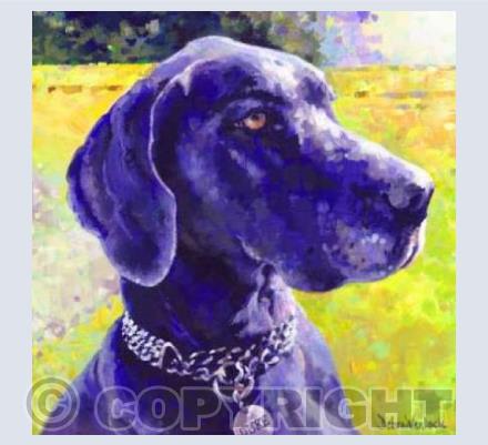 Duke the Dane