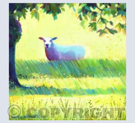 “Shane the Sheep”