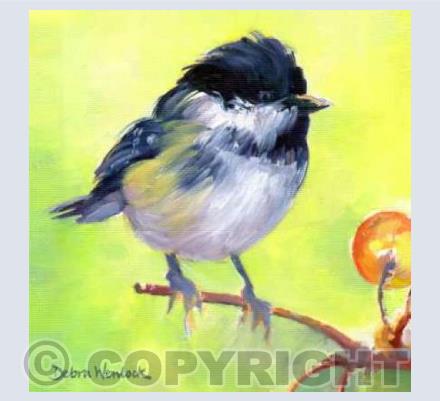 Baby Blue Tit
