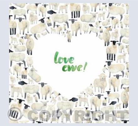 Love Ewe!