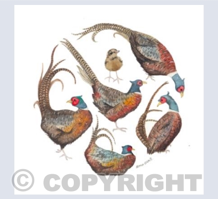 Watercolour Pheasants
