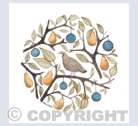 Partridge in a Pear Tree 