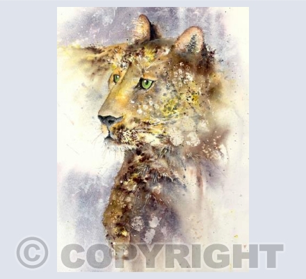 Leopard