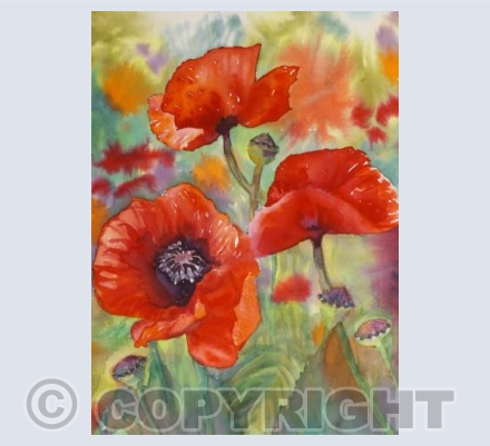 Wild Poppies