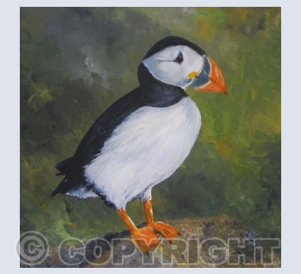 The Puffin