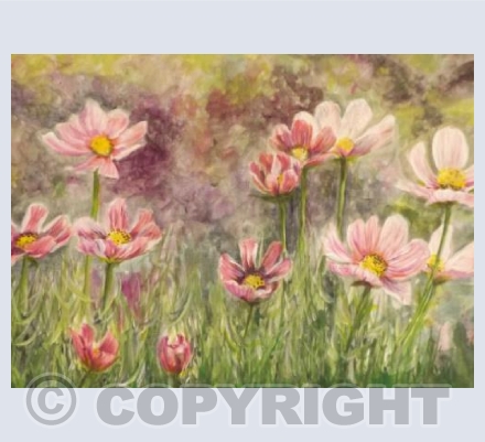 Pink Flowers