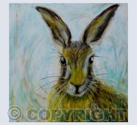 Wild Hare