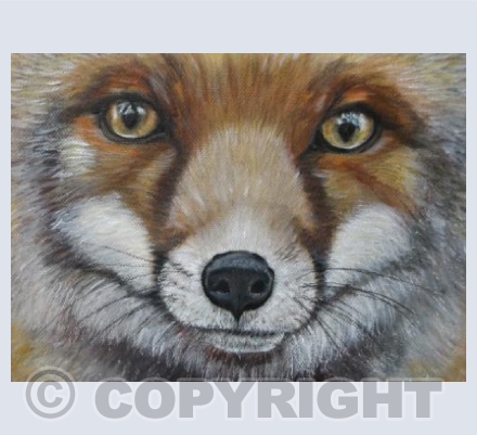 Foxy Face
