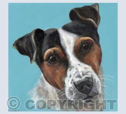 The Jack Russell