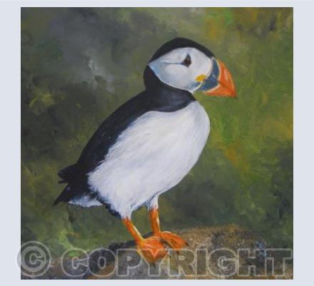 The Puffin