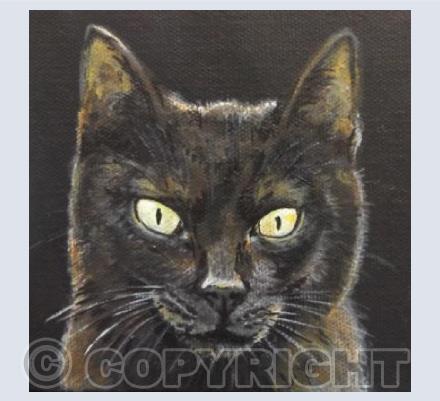 Black Kitten
