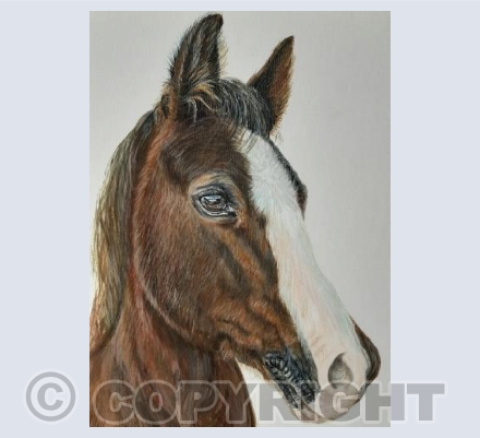 Cheeky Horse