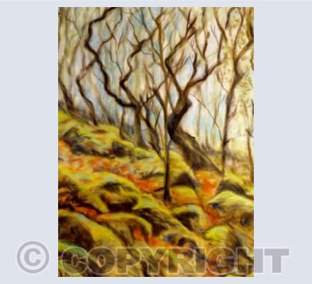 The Wild Woods