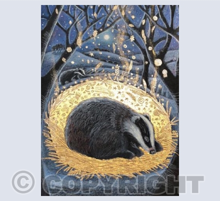 Solstice Dreamer