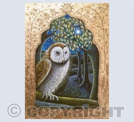 Moonlight owl