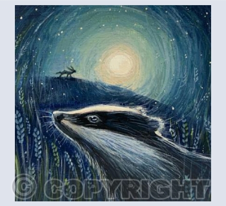 Night Foraging