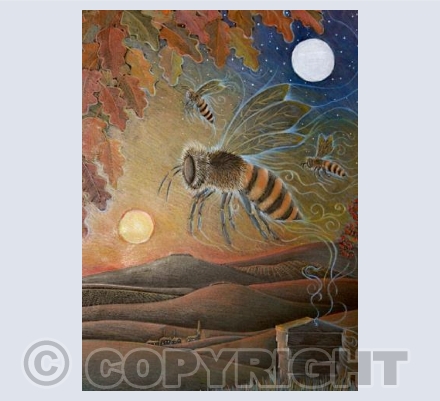 The Amber Journey