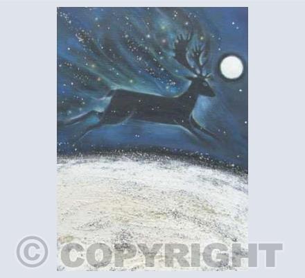 Midnight Solstice