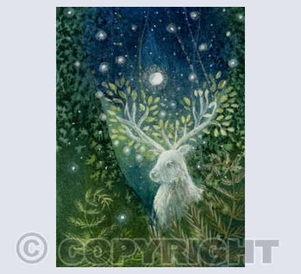 Magic in the Woods