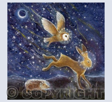 Summoning the Winter Solstice