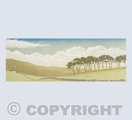 The House on the Moor