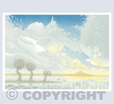 After the Storm