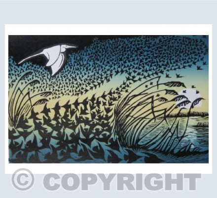 Murmuration III 