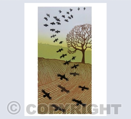 Evening Crows