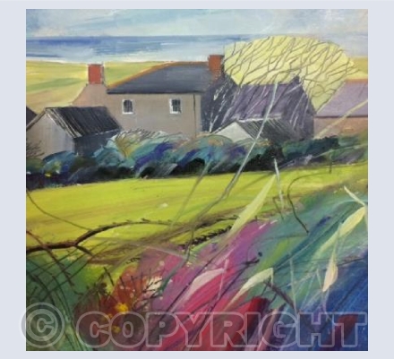 Autumn Hedge, St Just-in-Penwith