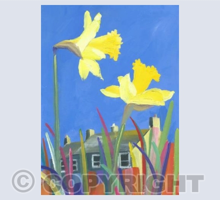 Daffodil Terrace