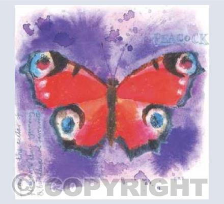 Peacock butterfly
