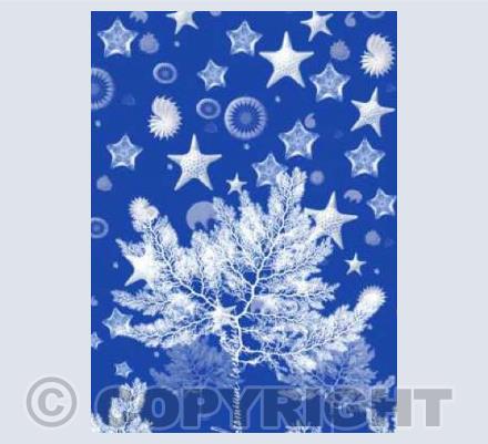 Sea Snow