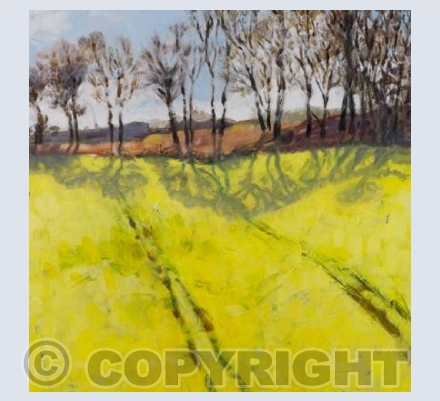 Yellow shadows