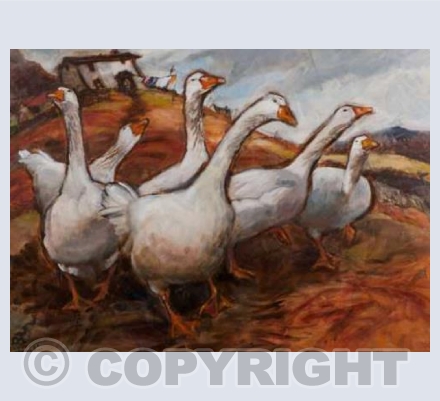 'Dartmoor geese'