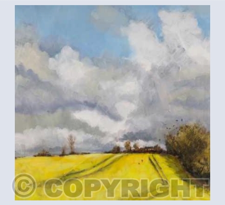 'Yellow morning'