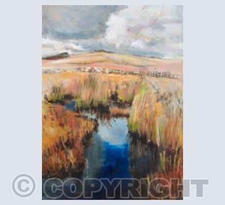 'Blue pool, Dartmoor'