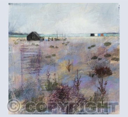 'Dungeness morning'