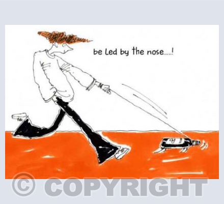 'Be led by the nose' (orange)