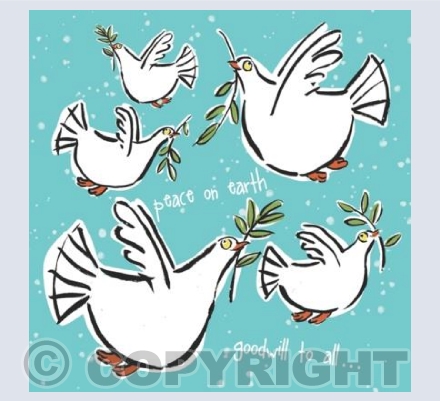 'Snow doves'