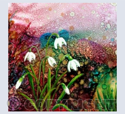 Winter Snowdrops