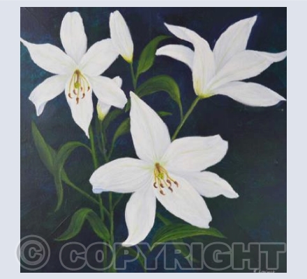 White Lilies 2