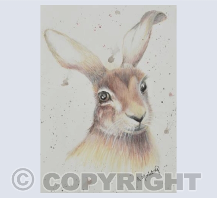 Pastel Hare