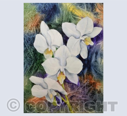 Orchid Spray