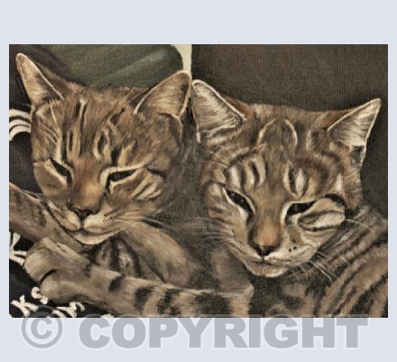Purrfect Love