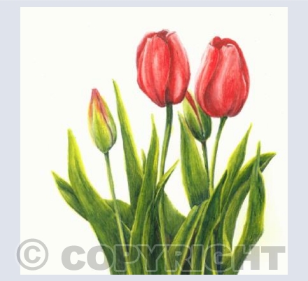 Spring is in the Air