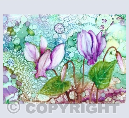 Four Seasons' Colours 4 Winter