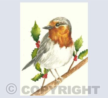 Christmas Robin 2