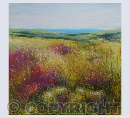 The Colour Of The day