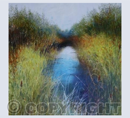 Where the Water Calms